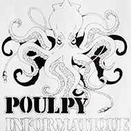 Logo Poulpy informatique réparation électronique Condé-en-Normandie